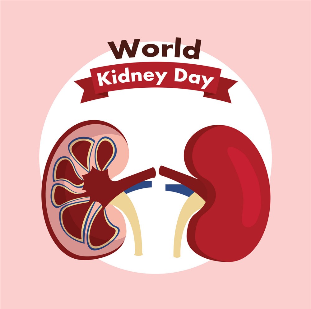 World Kidney Day 2023